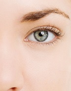 rbk-brow-shape-08-lgn.jpg